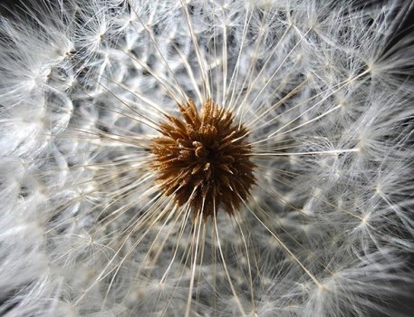 Samsung Galaxy S25 Ultra 5G využití umělé inteligence